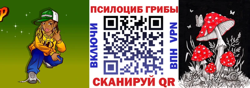 Псилоцибиновые грибы Psilocybe  Нижний Новгород 